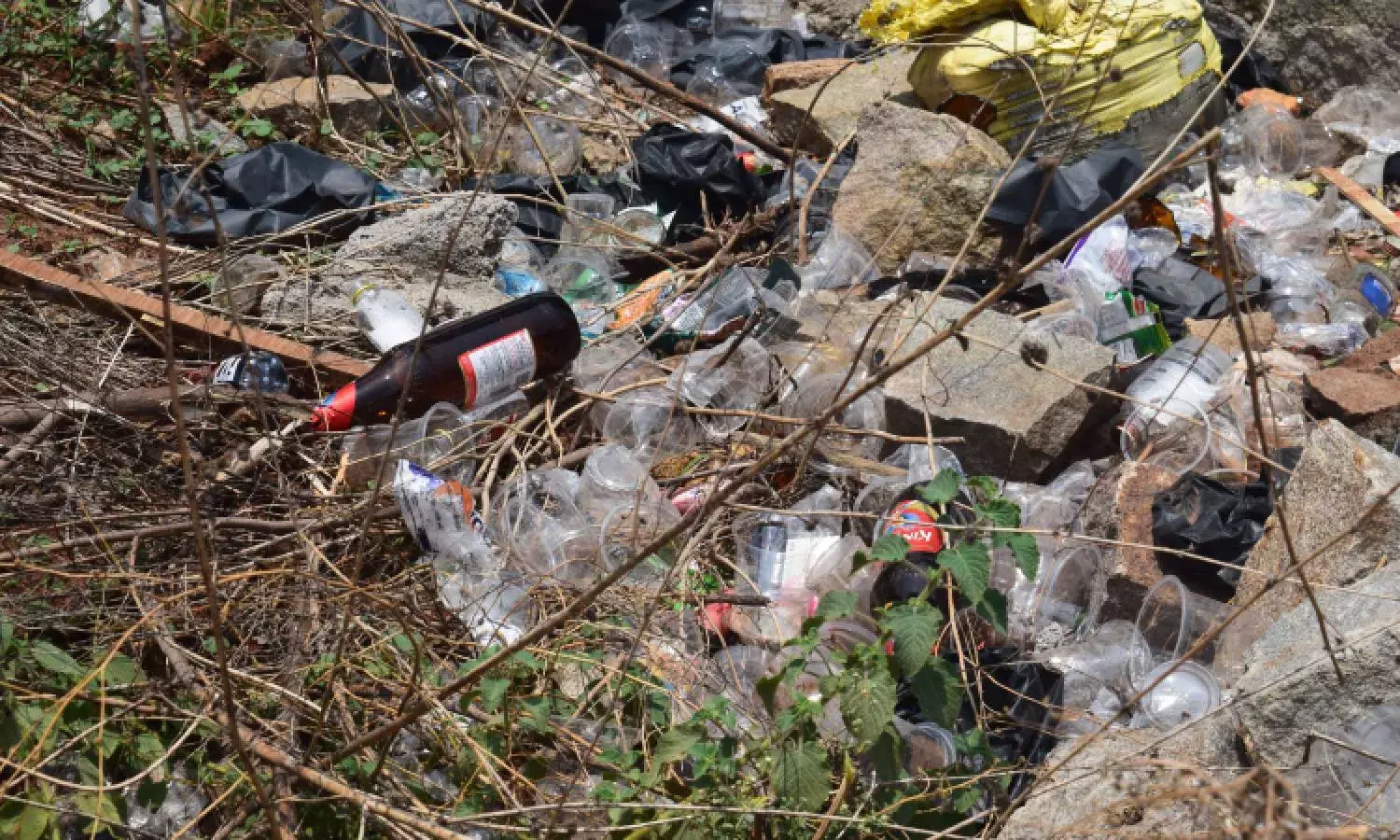 Litter-free zone… really! How Nizampets Haritha Haram park has become haven for boozers