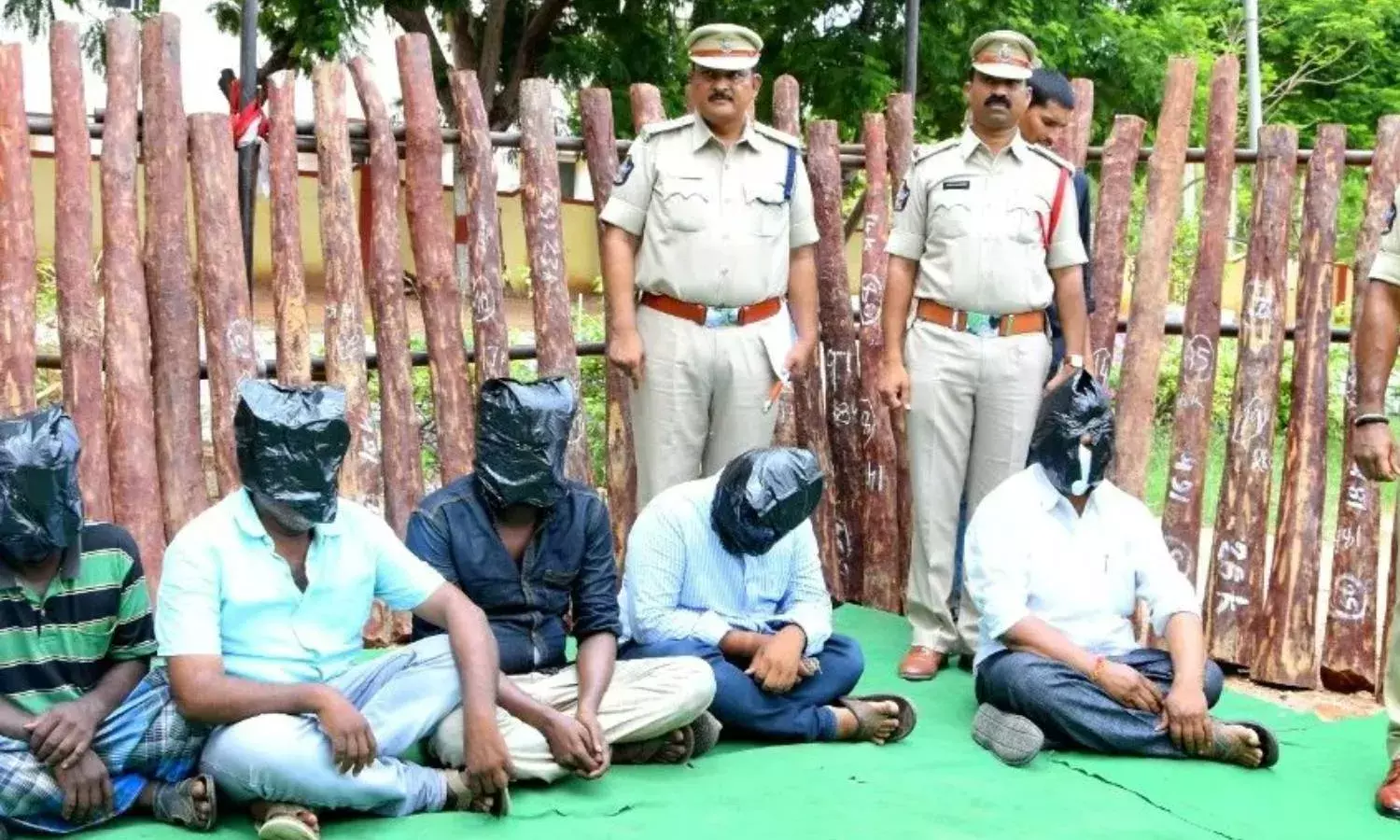 100 red sanders logs seized in Kadapa, 6 smugglers held