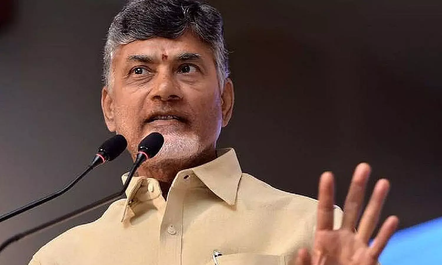 Prepare for early polls: Naidu tells TDP cadres