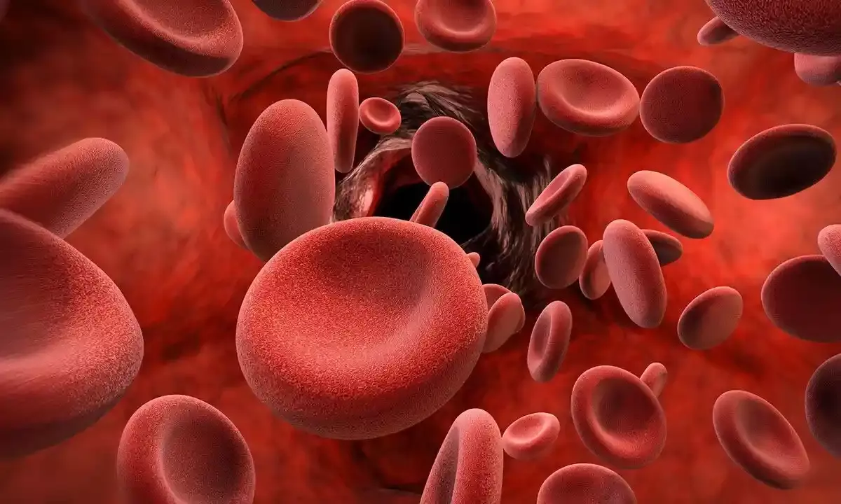 Blood shortage, lack of donors: In Hyd, children with thalassemia face long wait for precious blood