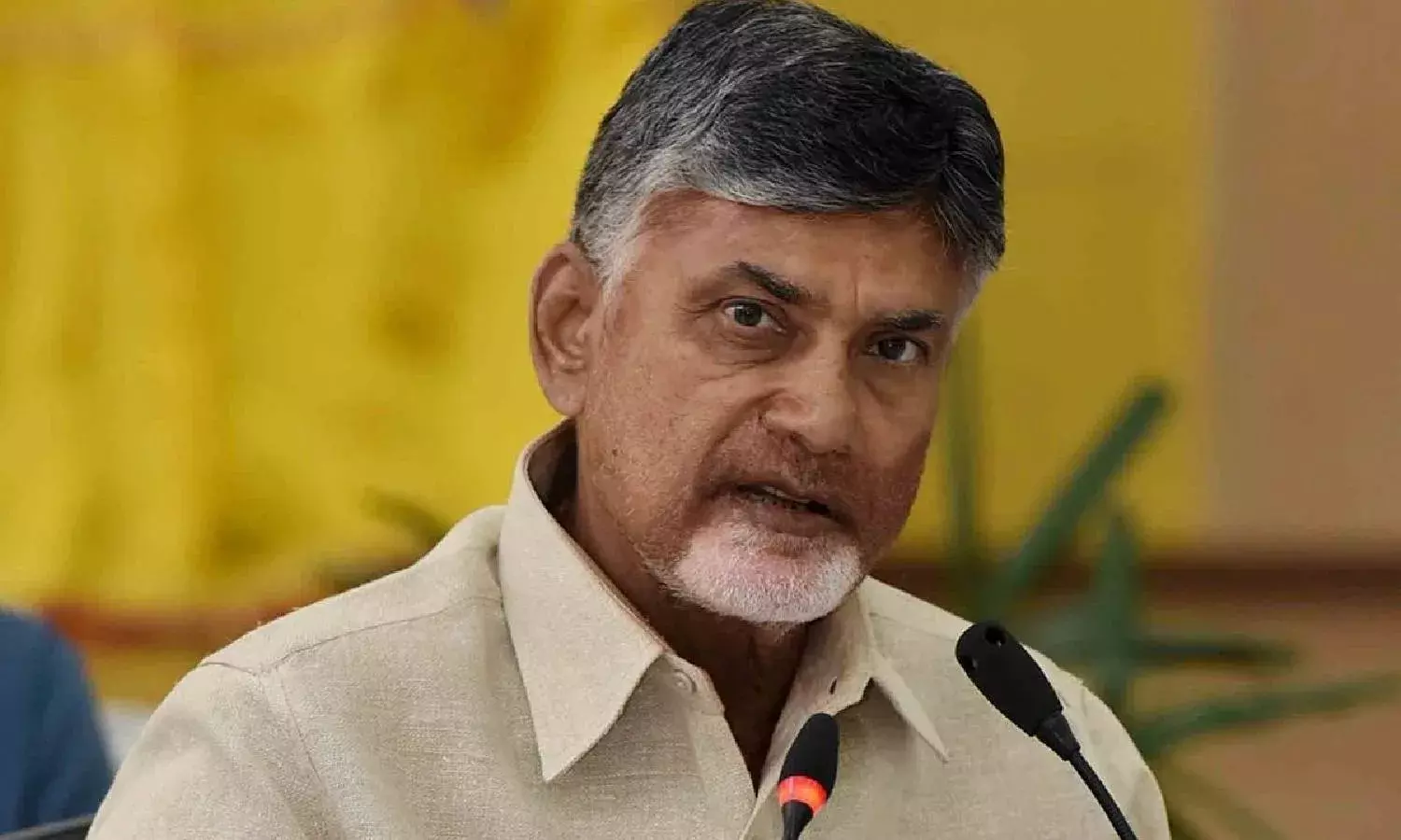 Jagan will not stay in power for full five years: Naidu