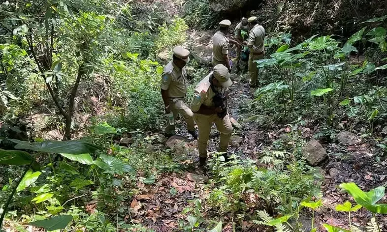 Mission Conserve Eastern Ghats: Vizag forest division project aims to conserve biodiversity of Eastern Ghats