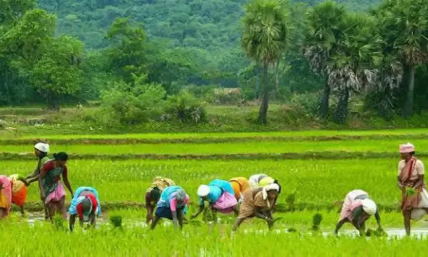 AP nominated for SKOCH rural development award