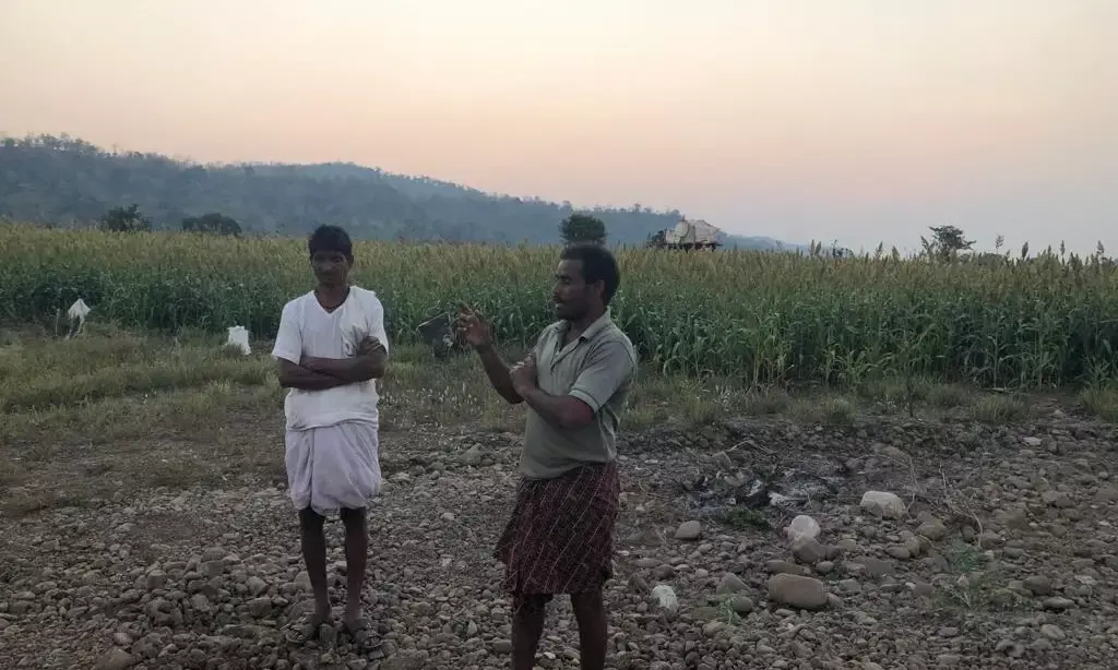 Losses mount, crops rot: Adilabad Jowar farmers stare at uncertain future as government delays procurement