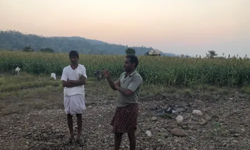 Losses mount, crops rot: Adilabad Jowar farmers stare at uncertain future as government delays procurement