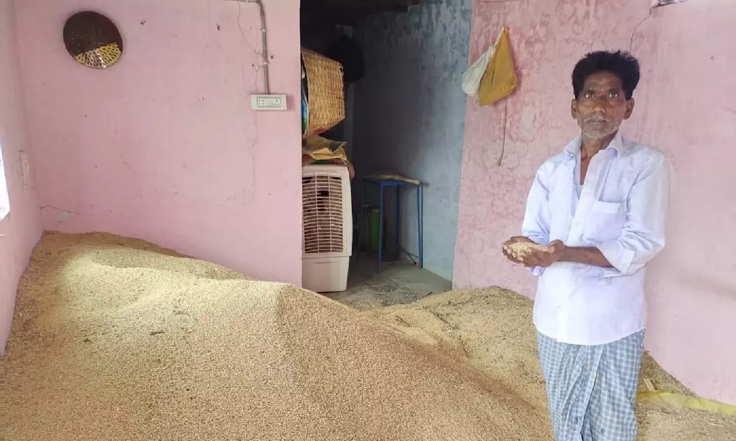 NGO files PIL urging Telangana government to procure jowar from farmers