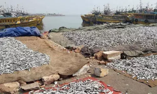 In troubled waters: Bio-diesel, ice shortage hit fishing in Andhra Pradesh
