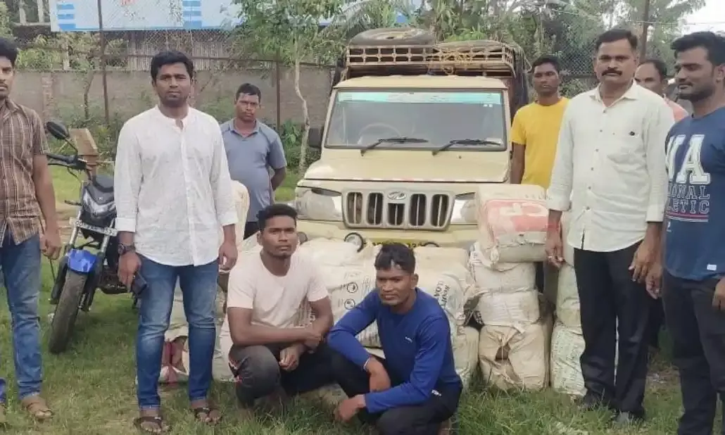 Aluminum foils to paddy husk: How Andhra contrabandists hoodwink police to smuggle ganja
