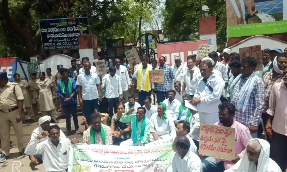 TS Govt bows to High Court Order on Jowar