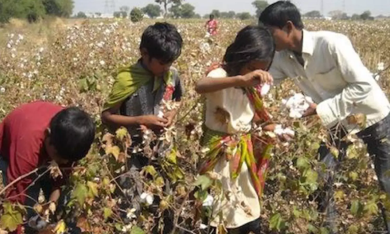 On your mark, get set, go: Hyd forum ECHO to organise marathon to raise awareness on child labour