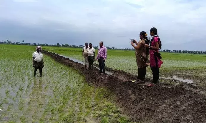 Strengthen e- cropping so that farmers are compensated: Jagan