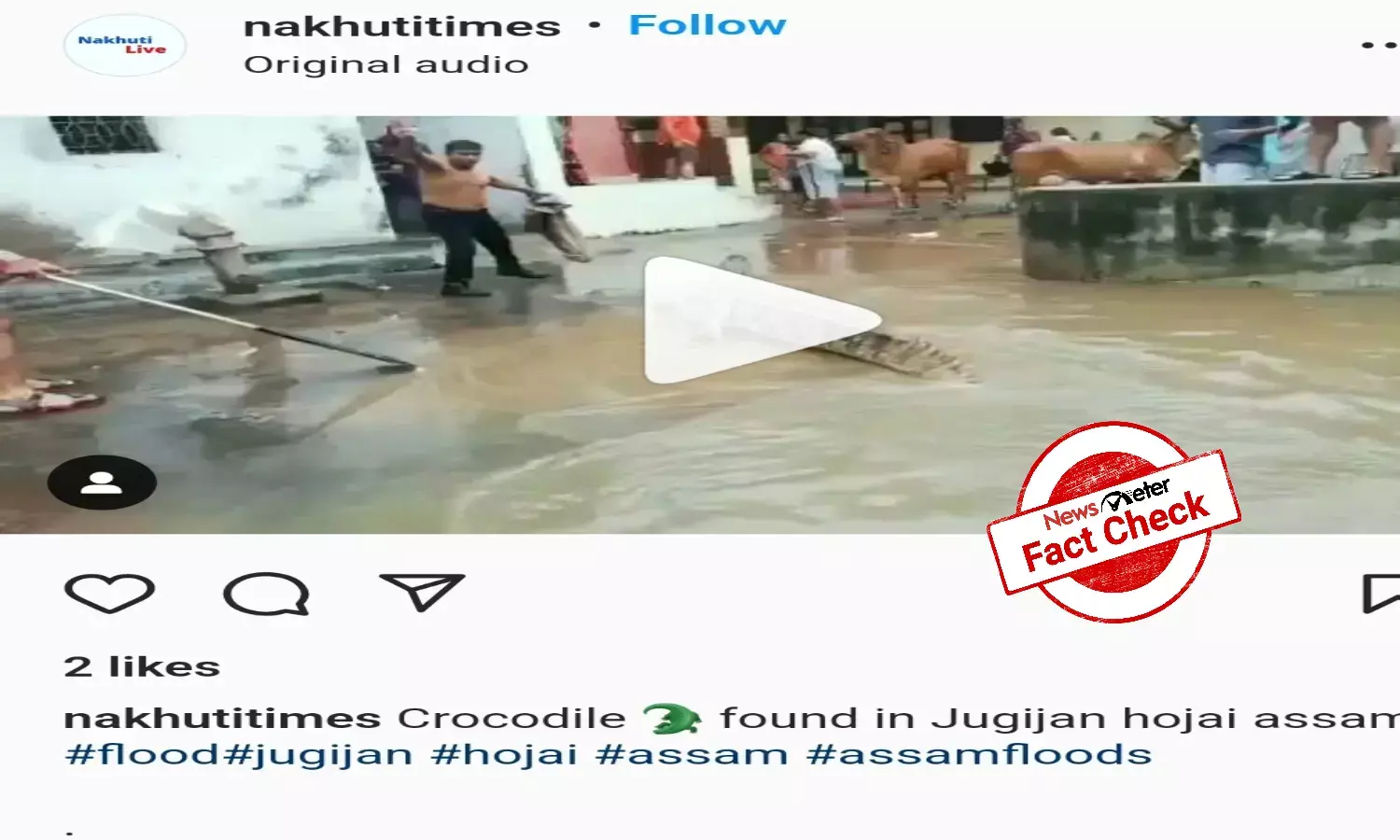 Fact Check: This video of NDRF team trying to catch a crocodile is not linked to recent Assam floods