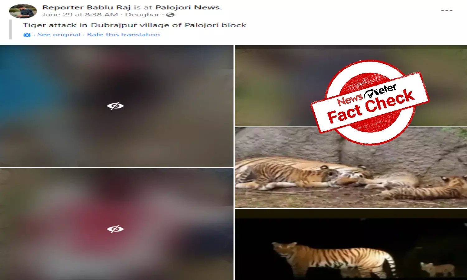 Viral pictures are not related to Jharkhand Tiger attack