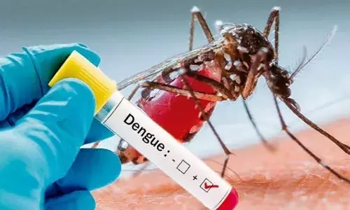 Hello doctor: What are signs of Dengue? How can we prevent infection?