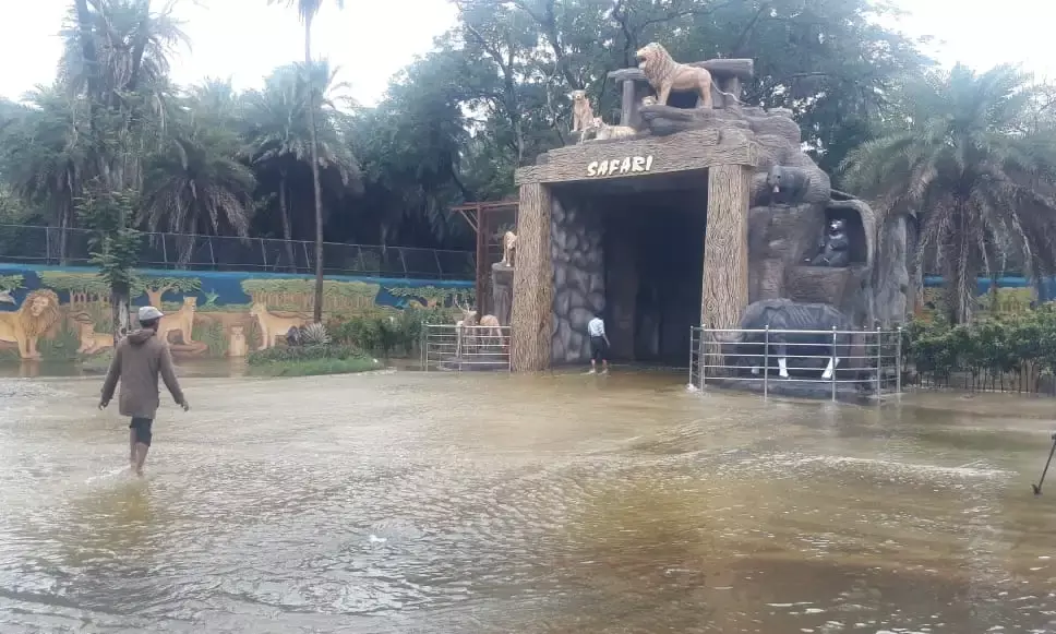 Cracks in Mir Alam Tank: Hyderabad Zoo Safari Park prone to flooding