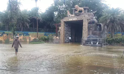 Cracks in Mir Alam Tank: Hyderabad Zoo Safari Park prone to flooding