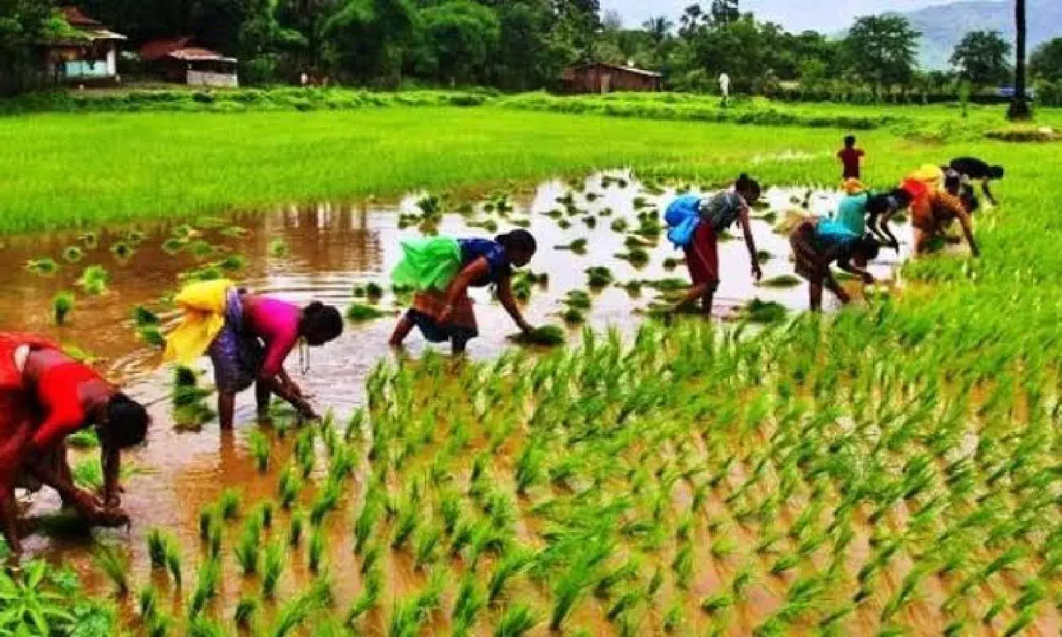 Ayekart, SERP come together to help AP self-help groups