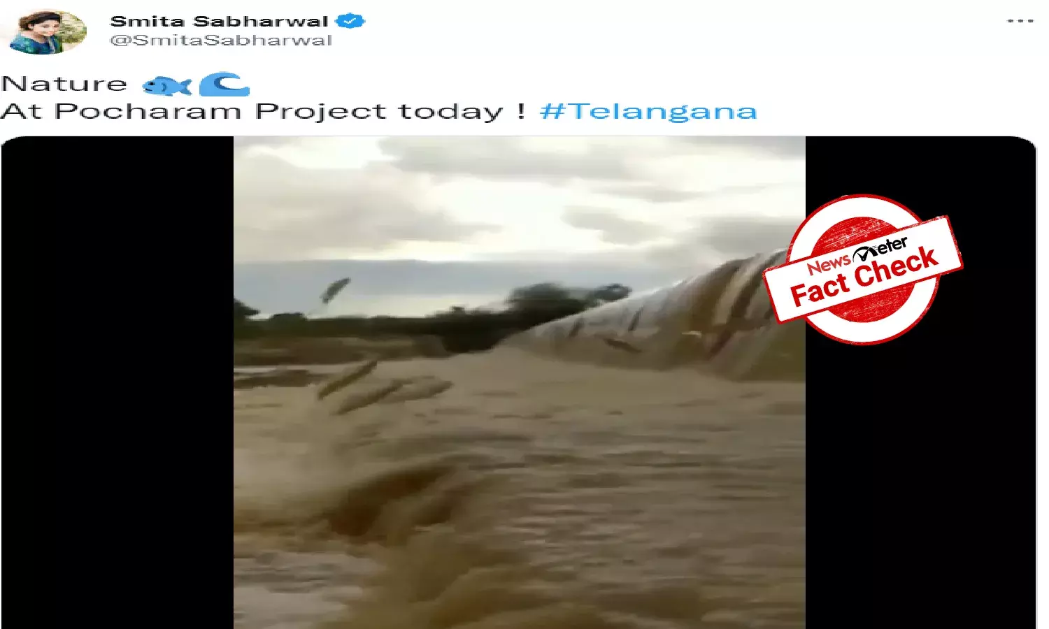 Fact Check: This video of fishes swimming upstream is not from Pocharam Project in Telangana