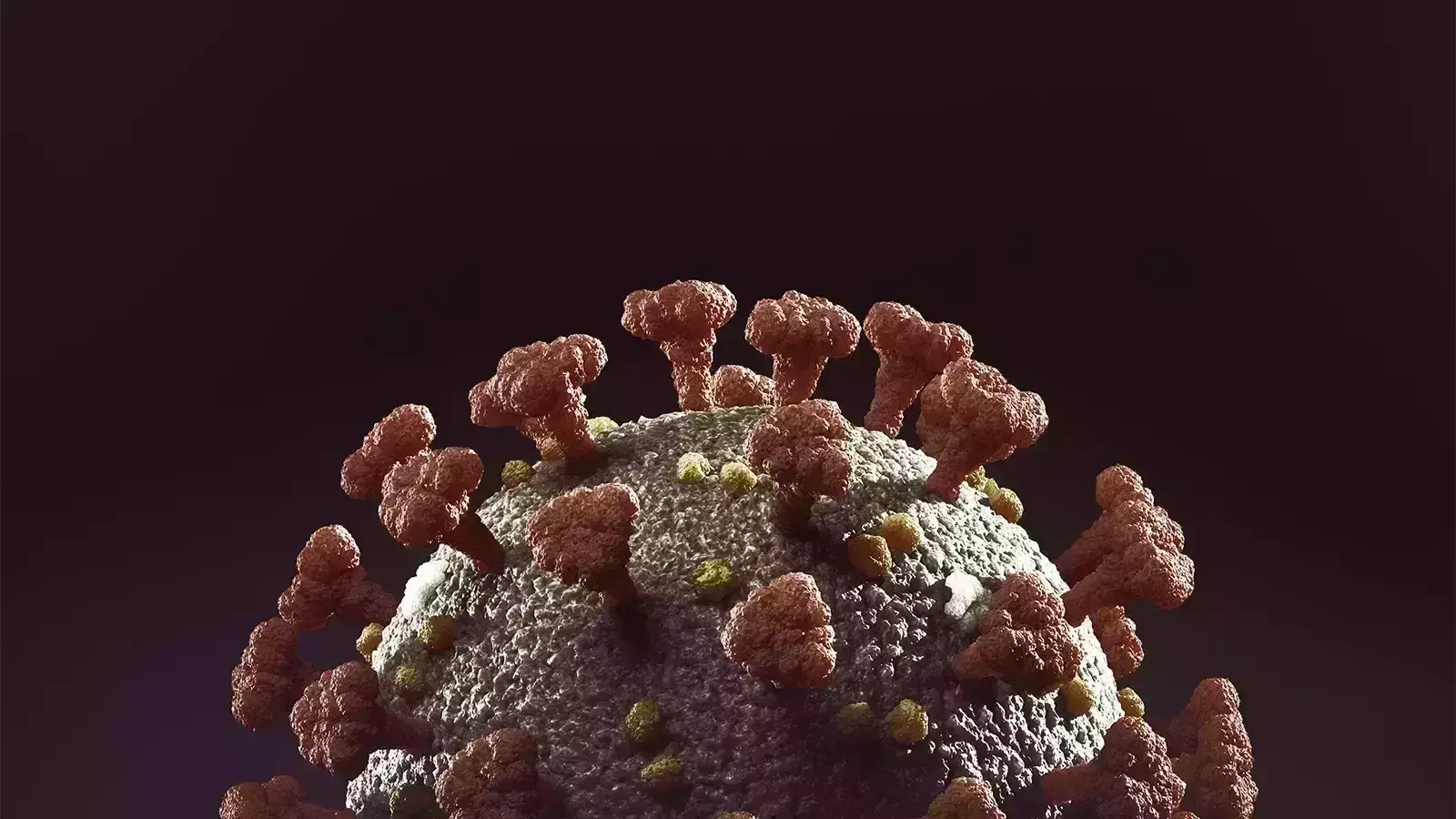 Omicron BA.2.75 emerging in TS with treatment challenges