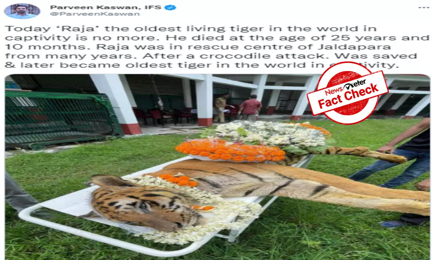 At 25 Years And 10 Months, Royal Bengal Tiger Raja Dies