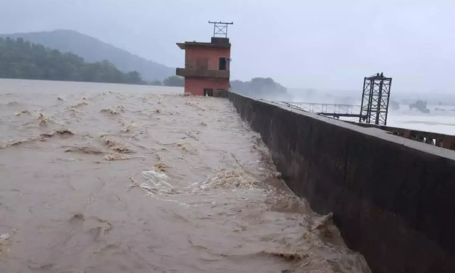Rain bounty: Despite sluggish monsoon, TS gets 112% excess rainfall till 19 July
