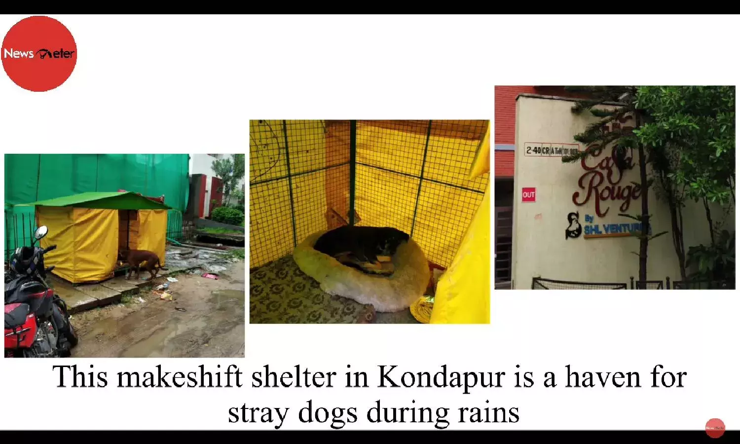 This makeshift shelter in Kondapur is a haven for stray dogs during rains