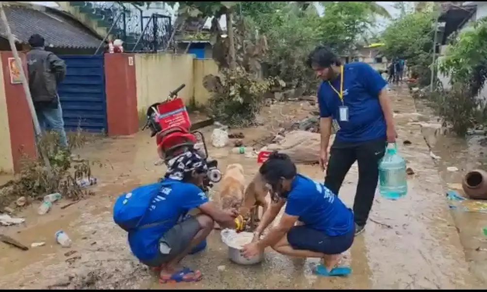 Meet Hyd rangers who cruised through floods to save animals in AP