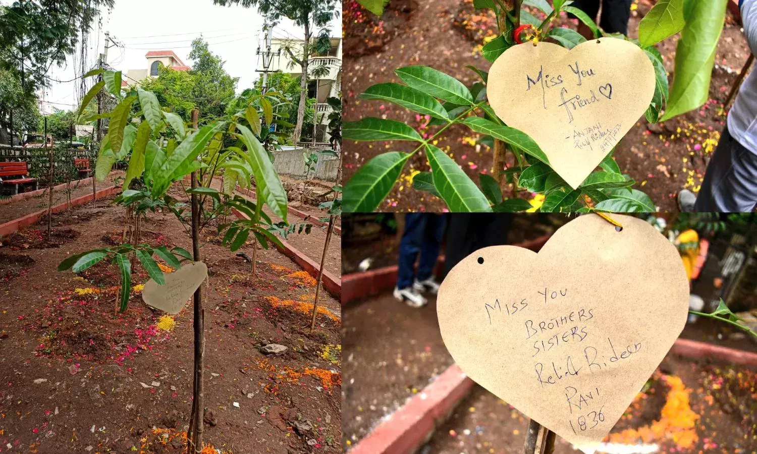 Their memories live here: First-of-its-kind Covid memorial park opens in Hyderabad