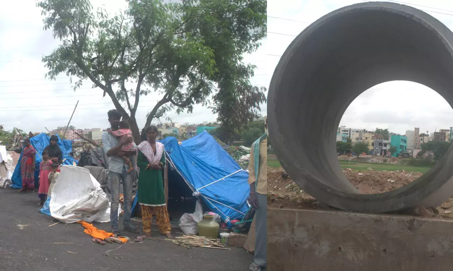 Mosquitoes to snakes:  How Teegalaguda slum-dwellers battle fear, govt apathy in Hyderabad rains