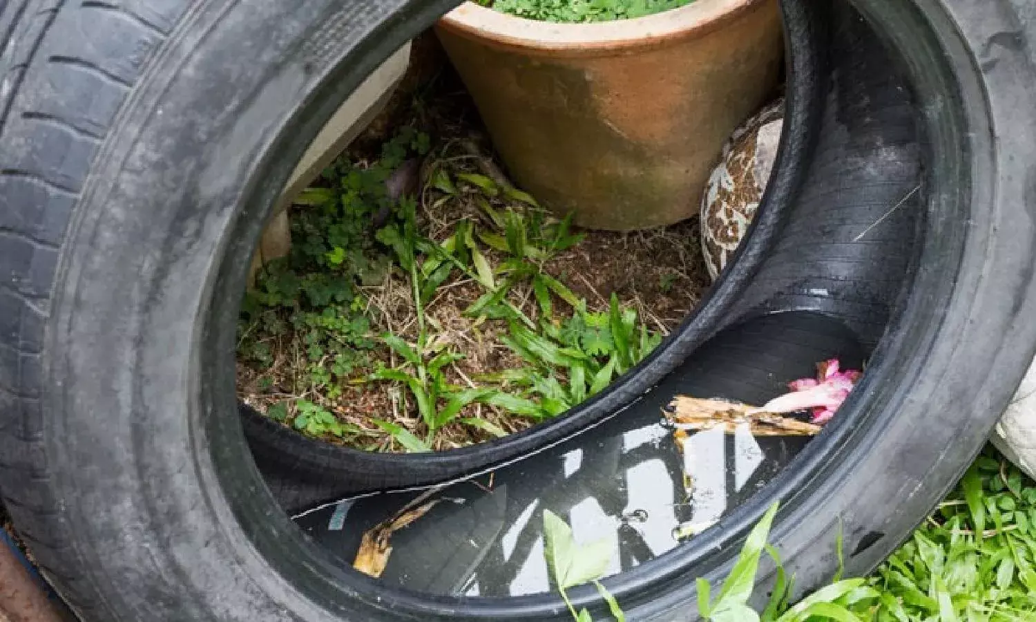 GHMC launches 10:10:10 cleanliness drive to prevent mosquito breeding