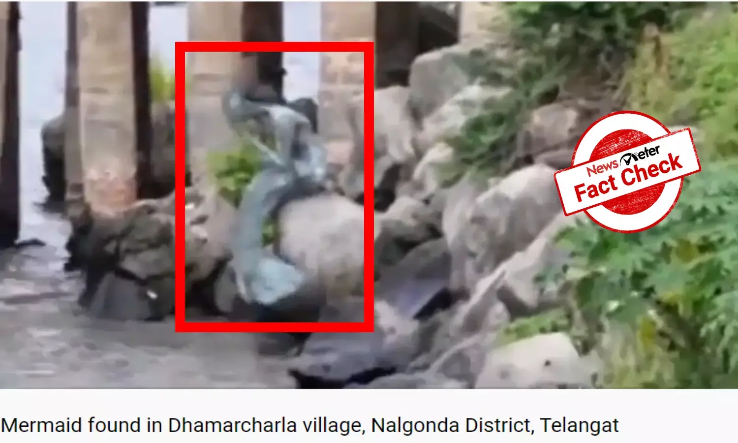 No mermaid at Damarcharla in river Musi, CGI video shared with false claim