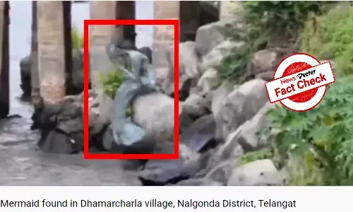 No mermaid at Damarcharla in river Musi, CGI video shared with false claim