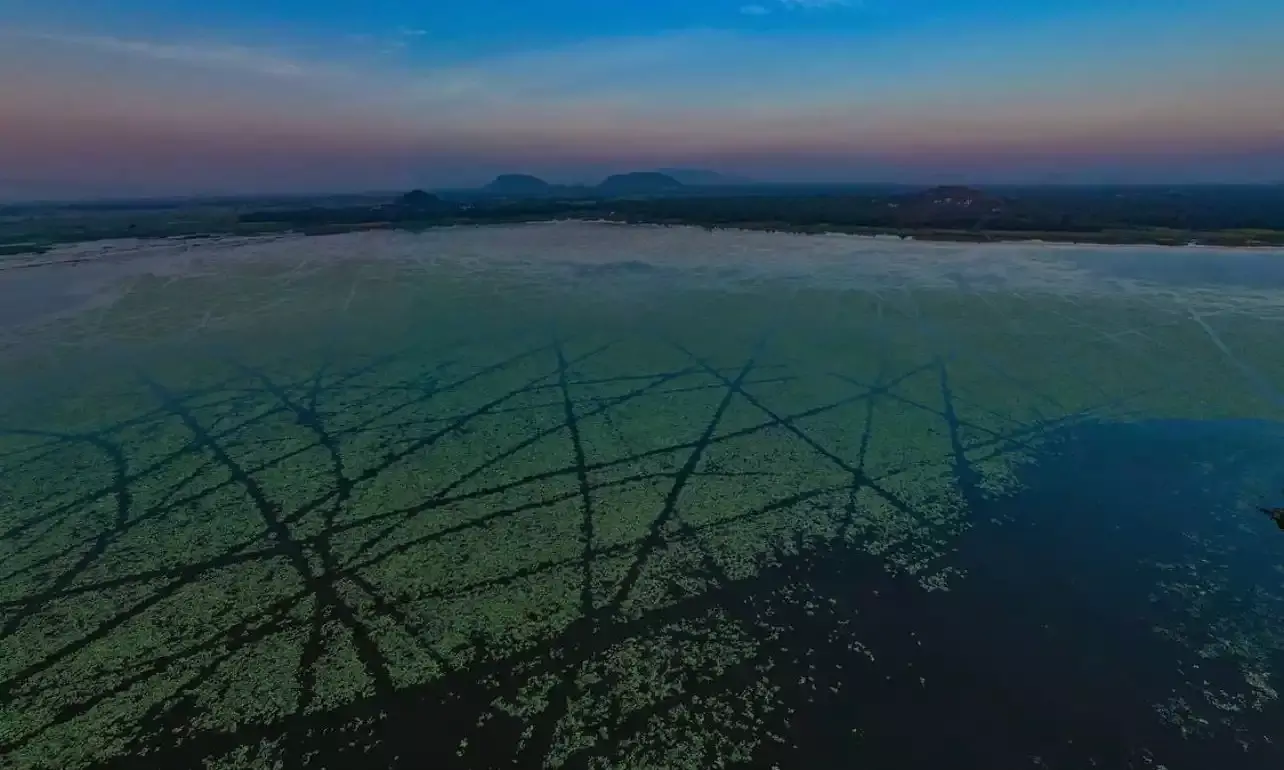 Go birdwatching or take a scenic boat ride at Kondakarla Ava in Anakapalli