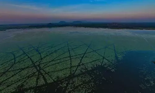 Go birdwatching or take a scenic boat ride at Kondakarla Ava in Anakapalli