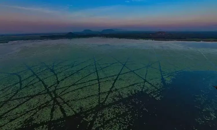 Go birdwatching or take a scenic boat ride at Kondakarla Ava in Anakapalli