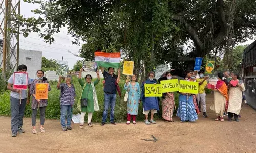 `Hum honge kaamyaab: An Independence Day wish for the endangered Chevalla banyans