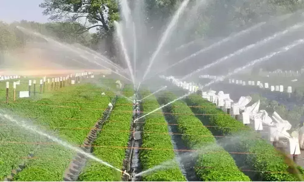TS HC hears PIL to quash Centres notice to take over TS, AP irrigation projects