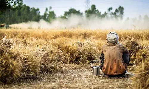 For third time in a row, AP ranks 3rd in farmer suicides