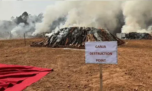 Drug-free Andhra: Jagan for making colleges, universities ganja-free by October