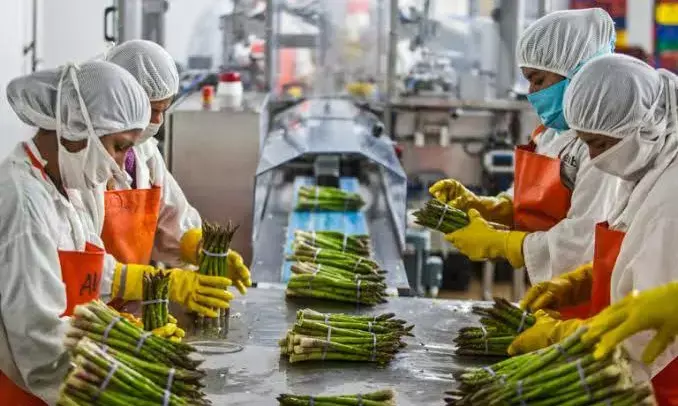 AP approves investments worth Rs. 81,000 cr, aims to create 20,130 jobs