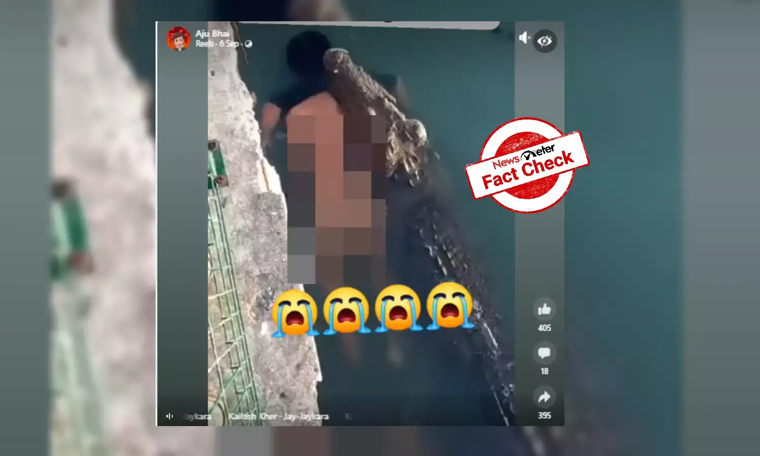 Viral video of man attacked by crocodile is not from India