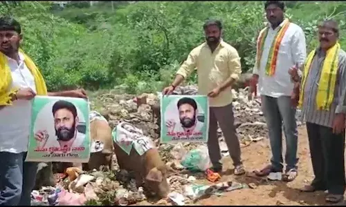 Angry over Kodali Nanis remarks on Naidu, youths tie MLAs photos to pigs