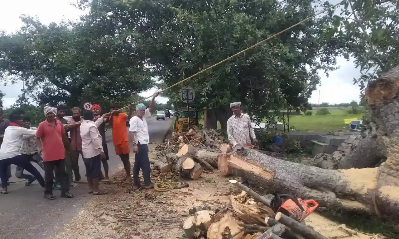 Save Chevella Banyans: Police order cutting of trees in Kesavaram