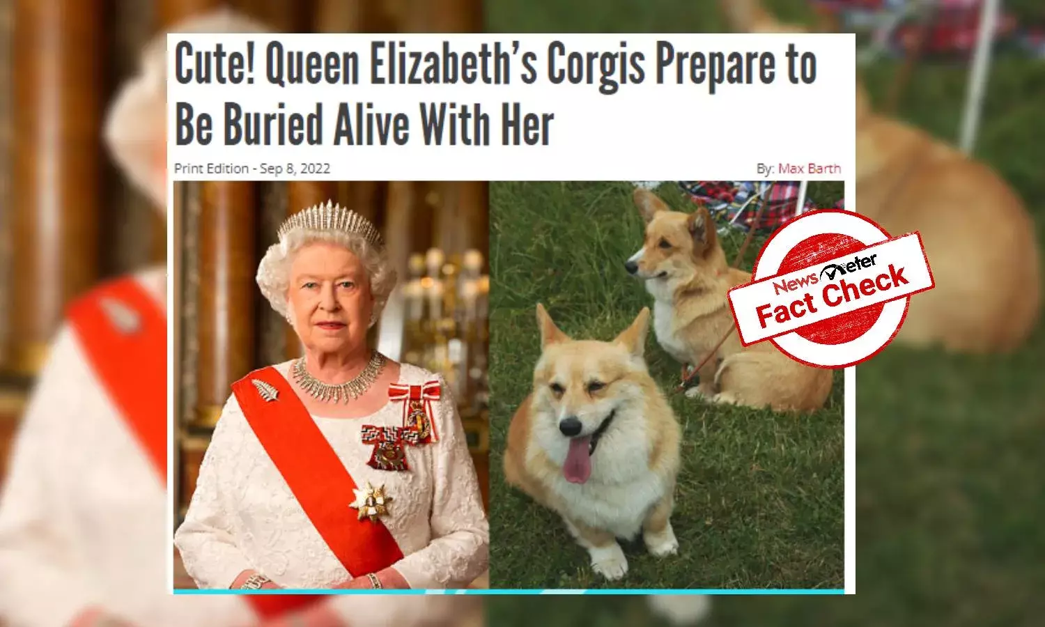Rumours about Queen Elizabeths corgis being buried with her are false
