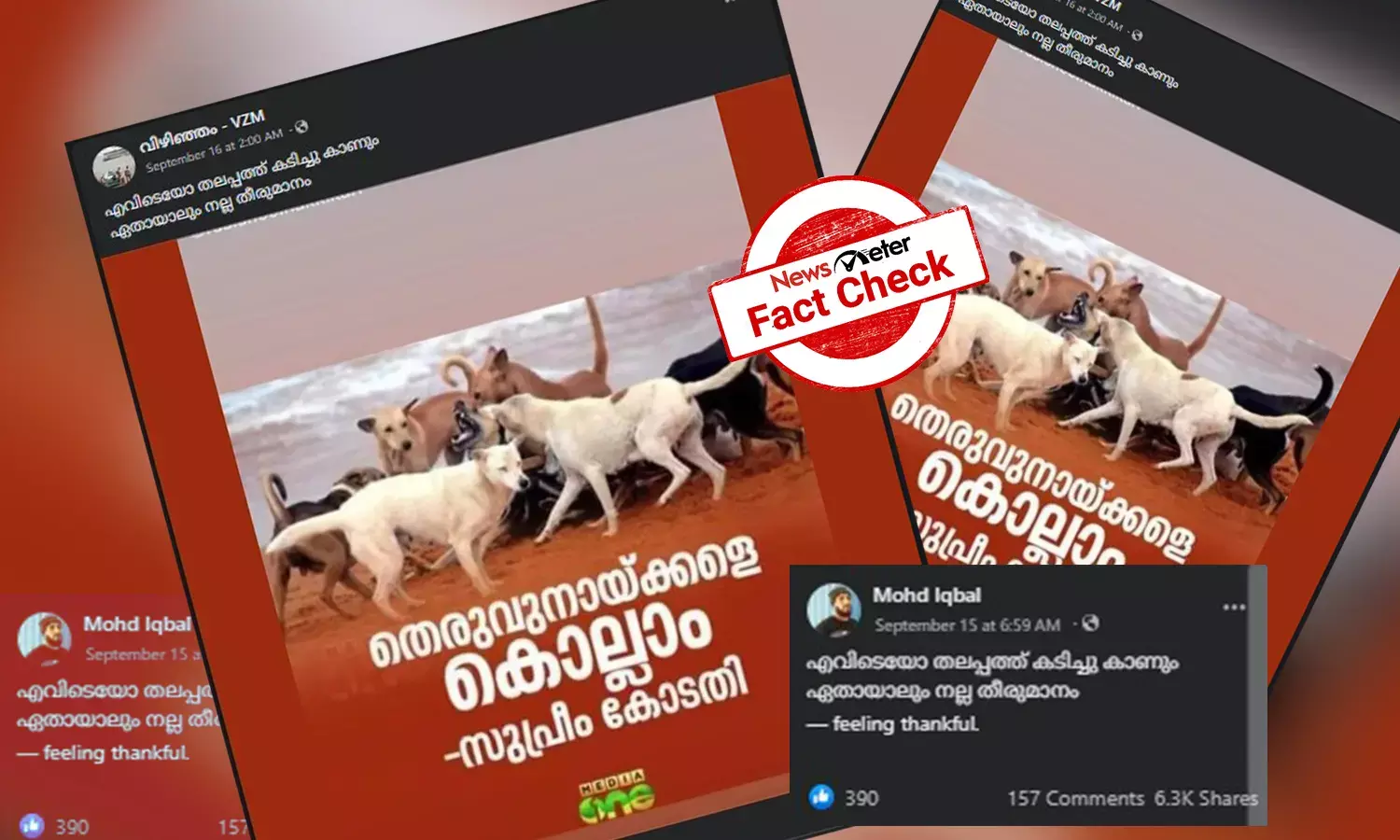 തെരുവുനായകളെ കൊല്ലാന്‍ സുപ്രീംകോടതി അനുമതിയോ? പ്രചരിക്കുന്ന വാര്‍ത്തയ്ക്കു പിന്നിലെ വാസ്തവമെന്ത്?