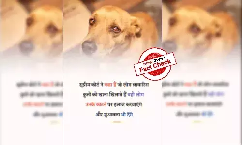 No SC order that says feeders must pay compensation to victims of stray dog attacks