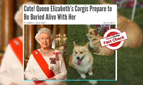 Rumours about Queen Elizabeths corgis being buried with her are false