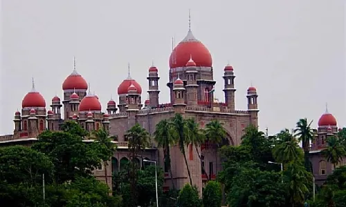 Telangana HC directs police to book pubs violating no music after 10 PM orders