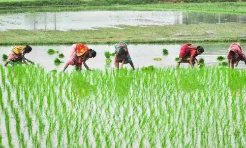 Jagan discusses Gadapa Gadapaku, e-crop, housing sites with officials