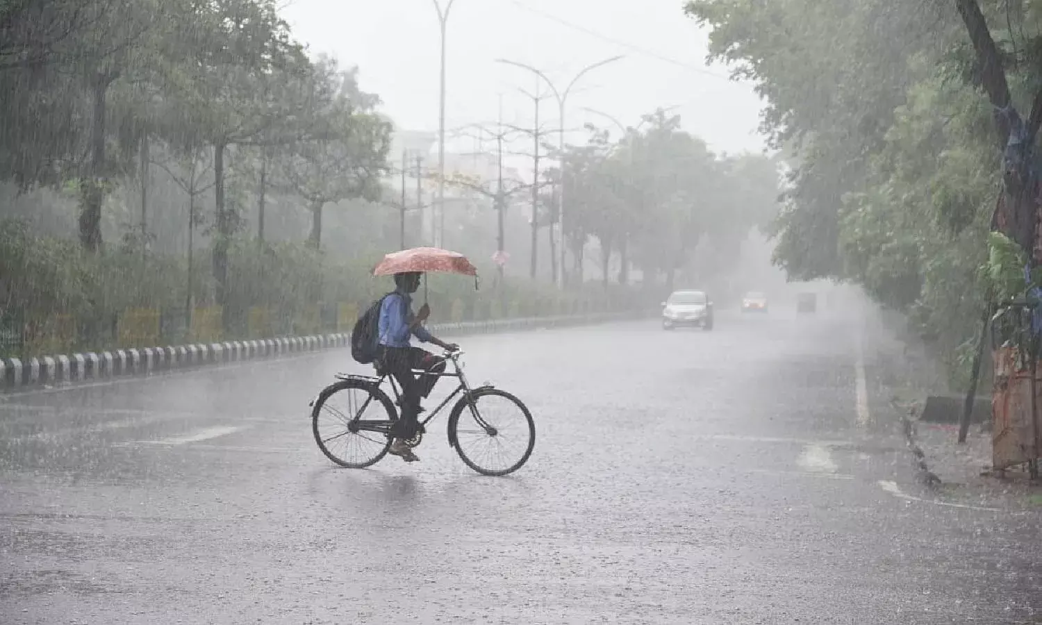 Southwest monsoon 2022: TS received excess rain of 46%, 2nd highest in India